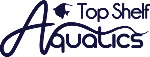 Top Shelf Aquatics